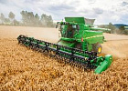 Какими будут цены на продукты на фоне высокого урожая Какими будут цены на продукты на фоне высокого урожая